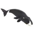 Bowhead Whale Toy Fashion