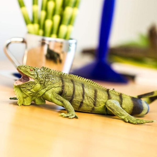 Iguana Toy For Discount