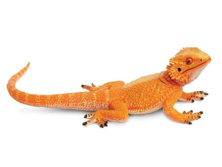 Bearded Dragon Toy Fashion