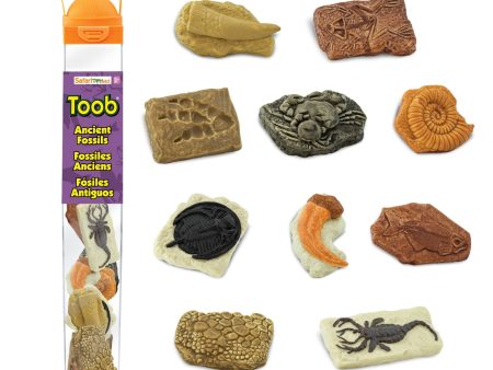 Ancient Fossils TOOB® Sale