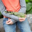 Iguana Toy For Discount