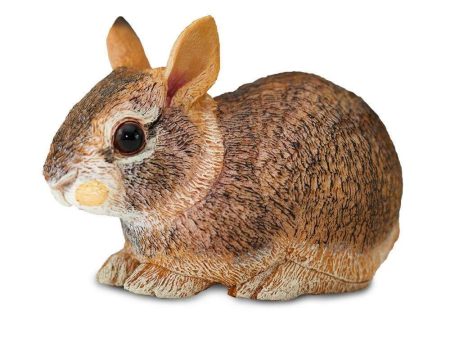 Eastern Cottontail Rabbit Baby Toy For Sale