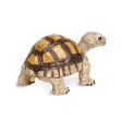 Tortoise Toy Fashion