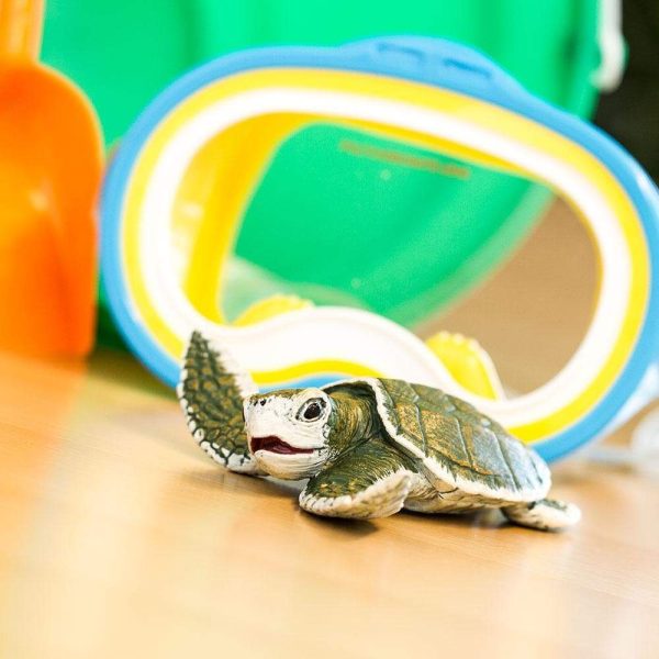 Kemp s Ridley Sea Turtle Baby Toy Sale