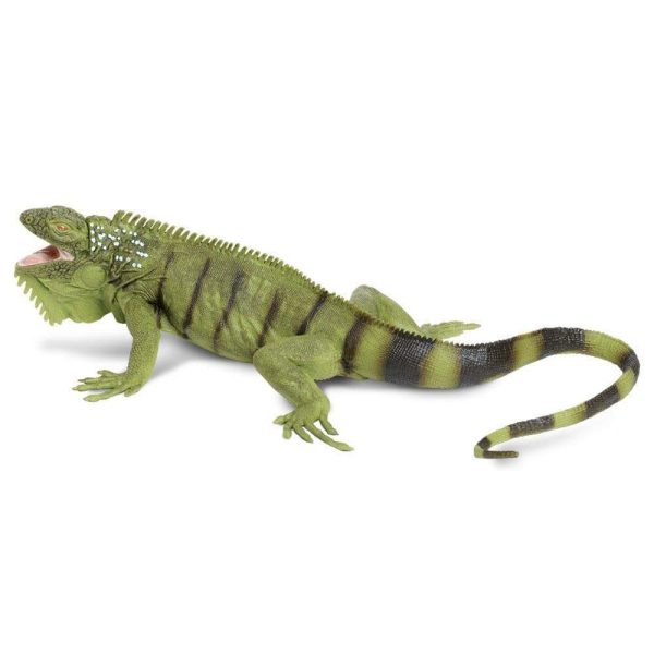 Iguana Toy For Discount