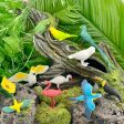 Exotic Birds Toys TOOB® Online Hot Sale