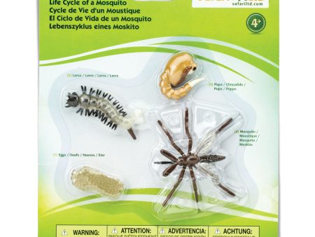 Life Cycle of a Mosquito Online