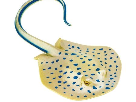 Blue Spotted Ray Toy Fashion