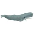 Sperm Whale Toy Sale