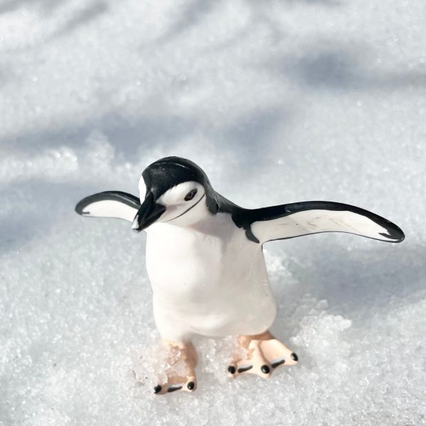 Chinstrap Penguin Toy For Sale