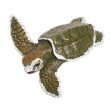 Kemp s Ridley Sea Turtle Baby Toy Sale